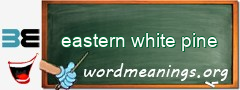 WordMeaning blackboard for eastern white pine